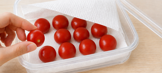夏のミニトマトを劇的に長持ちさせる！農家が教える正しい保存術