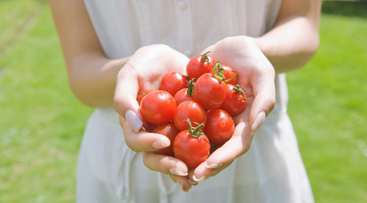 新年度の疲労回復に！洗って5秒のリカバリー食「トリコのトマト」